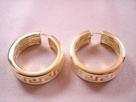 AROS256