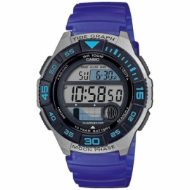 WS-1100H-2AVEF