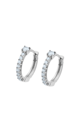 AROS PLATA 925 LOTUS