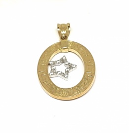 COLGANTE ORO 18 KT OBAL CON ESTRELLA D28X22MM G2,60